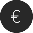 euro icon