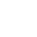 orientation icon