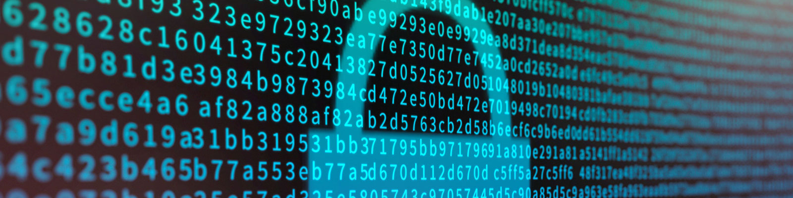 Cyber Crime time