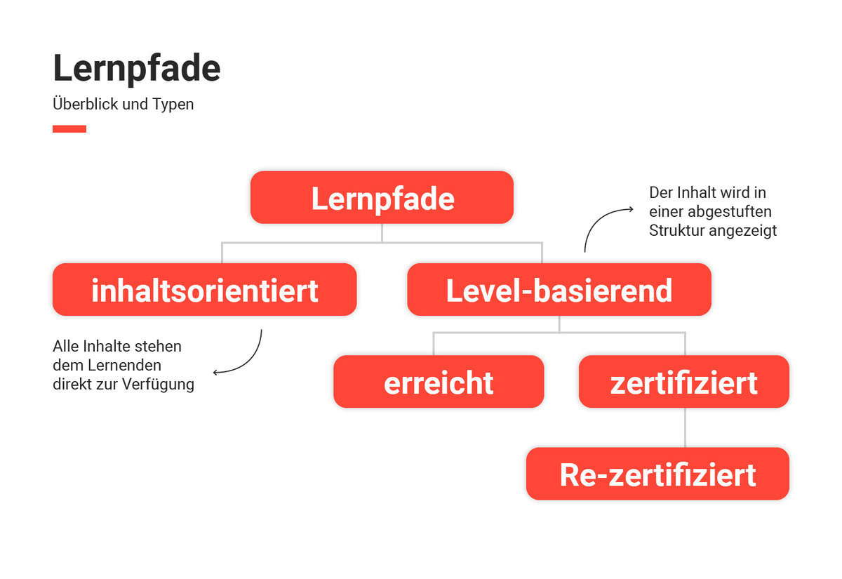 Lernpfade Infographik imc