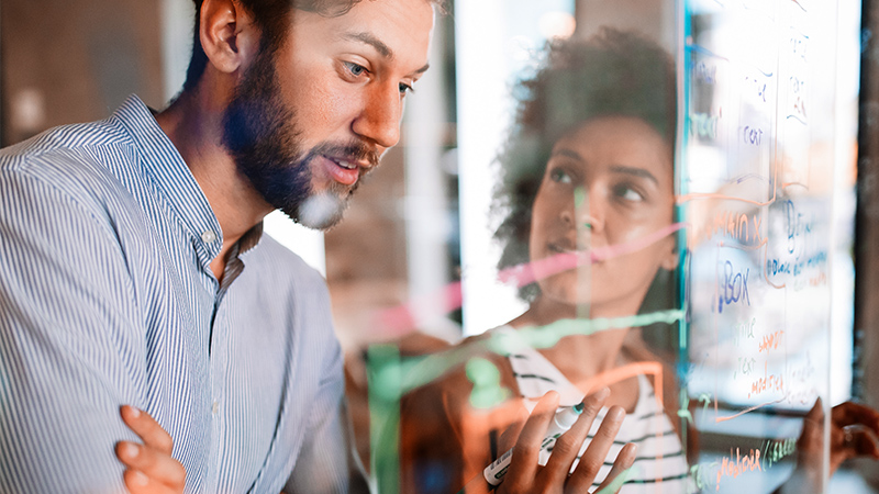 Custom LMS implementation and L&D strategy
