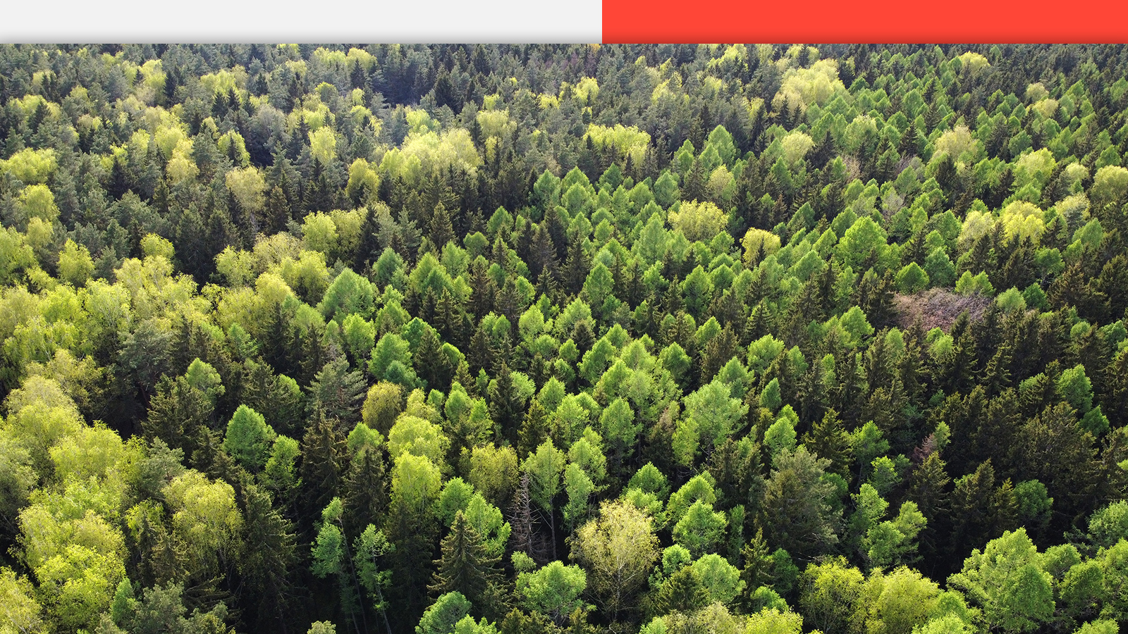 Corporate Social Responsibility