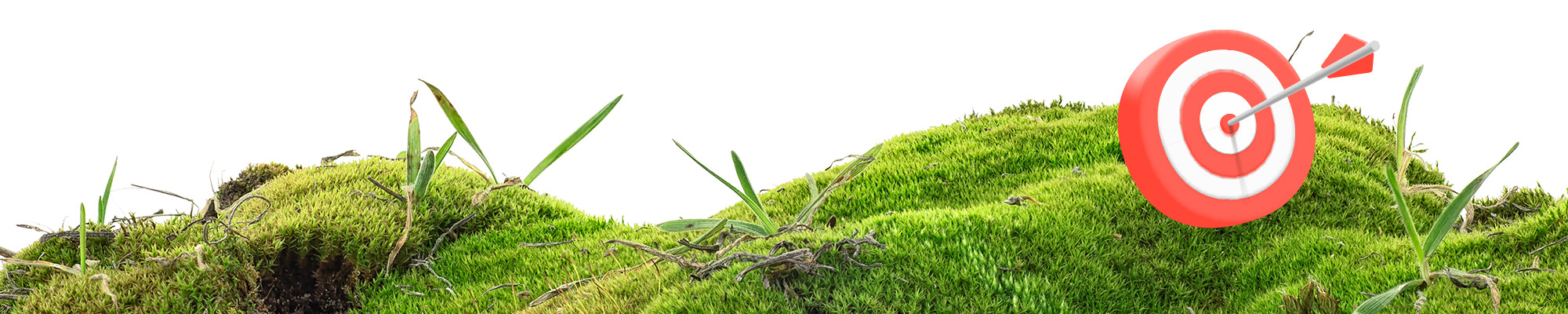 greenery with target